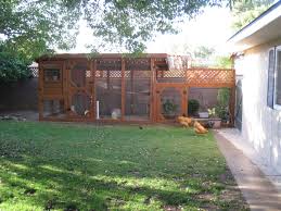 Layer hens are omnivores so can eat a wide variety of different foods. The Chicken Condo Backyard Chickens Learn How To Raise Chickens