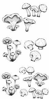 Pin By Ekaterina On Tattoo Ideas Mushroom Drawing Mushroom Art How To Draw Hands