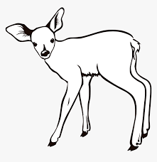 Download and print one of our baby deer coloring pages to keep little hands occupied at home; Baby Deer Coloring Pages Deer Outline Hd Png Download Transparent Png Image Pngitem