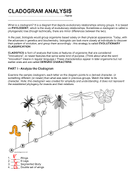 Cladogram Analysis
