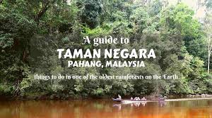 There are so many things to do, you may want to stay an extra week or so to experience them all. A Guide To Taman Negara Pahang Malaysia Things To Do In The Jungle