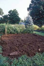 8 Steps For Making Better Garden Soil Mother Earth News Best Garden Soil Garden Soil Healthy Garden Soil