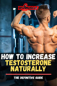 Pin On Bodybuilding Workout Bodybuilding Diet