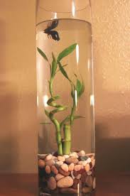 Pin By Guldeniz Ergen On Gardening Indoor Water Garden Fish Plants Container Water Gardens