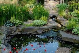 Dijamin, anda tidak akan merasa rugi dengan memiliki sebuah kolam ikan. 11 Desain Kolam Ikan Minimalis Depan Rumah Banyak Pilihan Inspirasi Untuk Kamu Rumah123 Com