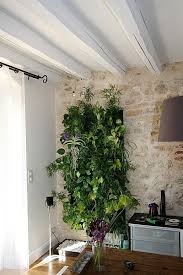 Mur Vegetal D Interieur Modulable Flowall Mur Vegetal Mur Vegetal Interieur Jardin Interieur
