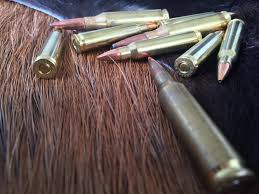 Why risk your elk hunt to an inferior cartridge? What Cartridge For Deer The Bloke