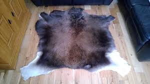 Daftar harga karpet lantai terbaru, karpet lantai karakter kini makin banyak di gemari di kalangan masyarakat mengapa ? Daftar Harga Karpet Lantai Terbaik Berbagai Model Per Januari 2020