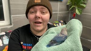 Baby Lovebirds!!! Born RIGHT HERE...