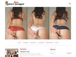 AllPornImages and Similar Porn Picture Sites | The Porn Bin