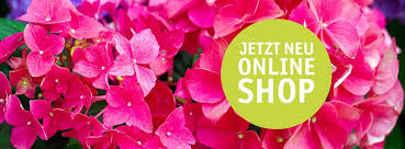 Gartencenter Beier Home Facebook