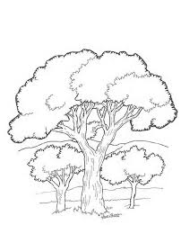 Teach your child how to identify colors and numbers and stay within the lines. Coloring Pages Of Trees With Leaves Coloring Home
