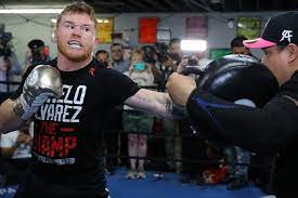 Highlights | canelo alvarez vs. Canelo In Top Form Punktrichter Vor Kovalev Showdown Stehen Fest