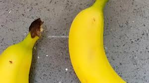 Singer stacey solomon knows it can be tricky to get your kids to eat healthily, but she has a few life hacks to show the world to make sure they love eating well. Stacey Solomon S Clever Trick To Get Her Kids Eating Fruit In Lockdown Irish Mirror Online