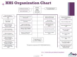 Hhs Aspr Org Chart Organization Chart