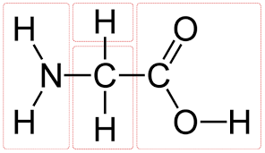 Image result for Glycine