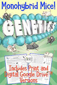 Read each quesiton twice to make sure you are answering what it asks! Free Monohybrid Genetics Practice Problems Teaching Chemistry High School Science Genetics Practice Problems