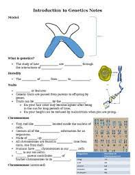 Note that when many alleles exist for the same gene. Amoeba Sisters Alleles And Genes Worksheet For The Following Illustration Determine Where You Could Label The Following Terms