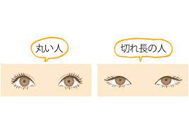 顔タイプ診断で似合うがわかる 実際に診断して似合うコーデとヘアメイクを知ろう trill トリル 顔 タイプ 診断 顔 トイストーリー イラスト