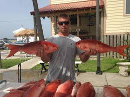 What the heck is a snapper bite? Good B Liner Fishing The Hull Truth Boating And Fishing Forum