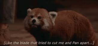 Darker Than Scarlet Appreciation Post For Pantalaimon As A Red Panda