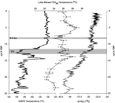 A = 0,06 moli;x = 0,72 g c;y = 0,18 g h,z=0,28 g n. Https Dspace Library Uu Nl Bitstream Handle 1874 43511 Corneliaiuliablaga Thesis Pdf Sequence 3