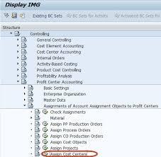 How To Assign Cost Centers To Profit Center Sap Profit Cost