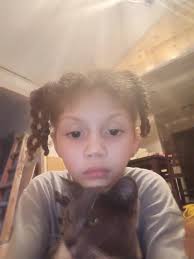 Has someone seen our gray and white cat Davey. We let him out last night to  use the bathroom and he never came back (and he always does) last seen