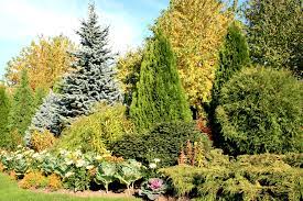 Provo, utah tree pruning, tree removal, stump removal and more. Growing Coniferous Trees In Utah