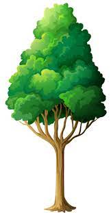 Gallery Recent Updates Tree Art Clip Art Tree Clipart