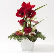 Check spelling or type a new query. Amaryllis Revet Ses Petales De Fete Le Mag De Flora Arrangements Floraux De Noel Art Floral Noel Fleur De Noel