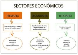 Sector Primario Secundario Y Terciario Ejemplos Esquemas Ensenanza De La Geografia Secundaria Actividades Para Primaria