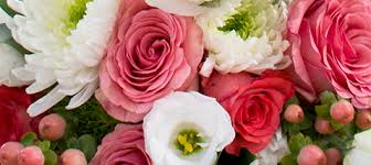 Maybe you would like to learn more about one of these? Market Blooms Fresh Flowers Everyday In The North Market