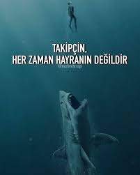 O Yuzden Cevreni Olabildigince Iyi Tani Motivasyon Kisiselgelisim Pozitifdusunce Basari Gelisim Ozlusoz 2020 Motivasyon Motivasyon Sozleri Guzel Soz
