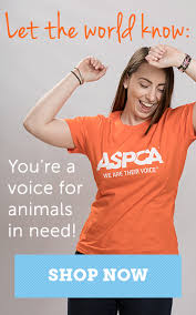 Cheaper ways to treat your cats for fleas low cost spay and neuter clinic education on why spay and neutering is best for. Nyc Mobile Spay Neuter Clinic Calendar Vaccine Aspca