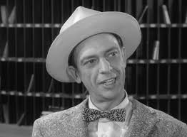 ANDY GRIFFITH SHOW, THE