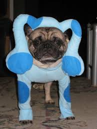 Pet Halloween Costume Contest 2008 Petlvr Blog For Pet Lovers Pet Halloween Costumes Dog Halloween Costumes Pet Costumes