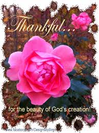 Designs By Birgit Flower Qoutes Gods Creation Creation Quotes