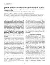 Images were taken at the haseloff lab within the department of plant sciences. Pdf Removal Of A Cryptic Intron And Subcellular Localization Of Green Fluorescent Protein Are Required To Mark Transgenic Arabidopsis Plants Brightly