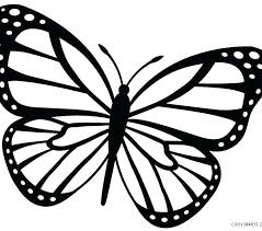 Maybe you would like to learn more about one of these? Easy Realistic Butterfly Drawing Outline Novocom Top