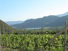 Featuring free wi fi in the rooms, haus hanni apartment offers accommodation in ottnang am. Haus Hanni Tramin Ferienwohnungen Haus Hanni Termeno Sulla Strada Del Vino Tramin An Der Weinstrasse Holidaycheck Sudtirol Italien