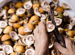 Ramesh Tobacco Co Beadon Street Tobacco Wholesalers In Kolkata Justdial