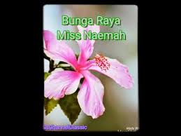 Tuk ku tuk hamtaro berlari. Download Lagu Bunga Raya Lirik Mp3