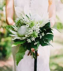 Stunning Bridal Bouquet Showcasing Green White King Protea Star Of Bethlehem Green Monstera Green Tropical Wedding Bouquets Protea Wedding Wedding Bouquets