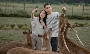 Jadwal buka taman rusa : 10 Gambar Penangkaran Rusa Gresik Lokasi Tempat Nomer Telepon Hotel Di Sekitar Jejakpiknik Com
