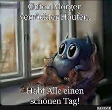 Wähle einfach das gewünschte bild aus der kategorie schönen sonntag bilder für whatsapp und klicke auf einen der darunter angezeigten codes. Guten Morgen Bilder Guten Morgen Sonntag Guten Morgen Grusse Guten Morgen Freitag Guten Morgen Gif
