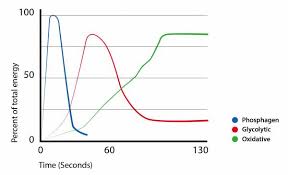 understanding glycolysis what it is and how to feed it