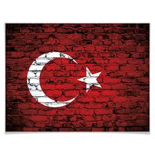 De rubrieken 'reisbeperkingen en documenten', 'faciliteiten' en 'hulpverlening' geven aan of vakanties, al dan niet beperkt, mogelijk zijn. Poster Turkse Vlag Wall Art Nl