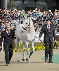 個人撮影 熟女 レイプ 無修正 人妻 中出し 近親相姦 jk 閲覧注意 素人 中に出さないで 五十路 バレないように 巨乳 盗撮 爆乳 寝取られ リベンジポルノ オ. ã‚´ãƒ¼ãƒ«ãƒ‰ã‚·ãƒƒãƒ—æœ­å¹Œç«¶é¦¬å ´ã§ãŠæŠ«éœ²ç›® é ˆè²å¸« é¢ç™½ã„é¦¬ã ã£ãŸ ã‚¹ãƒãƒ‹ãƒ Sponichi Annex ã‚®ãƒ£ãƒ³ãƒ–ãƒ«