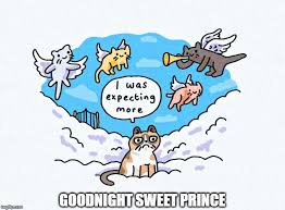 Online, the phrase has gained notoriety through its usage in image macros that are designed to propagate celebrity death hoaxes by intentionally misidentifying the deceased. No Meme Here May Grumpycat Rest In Peace Imgflip